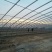 椭圆管大棚，几字钢大棚，大棚配件厂家