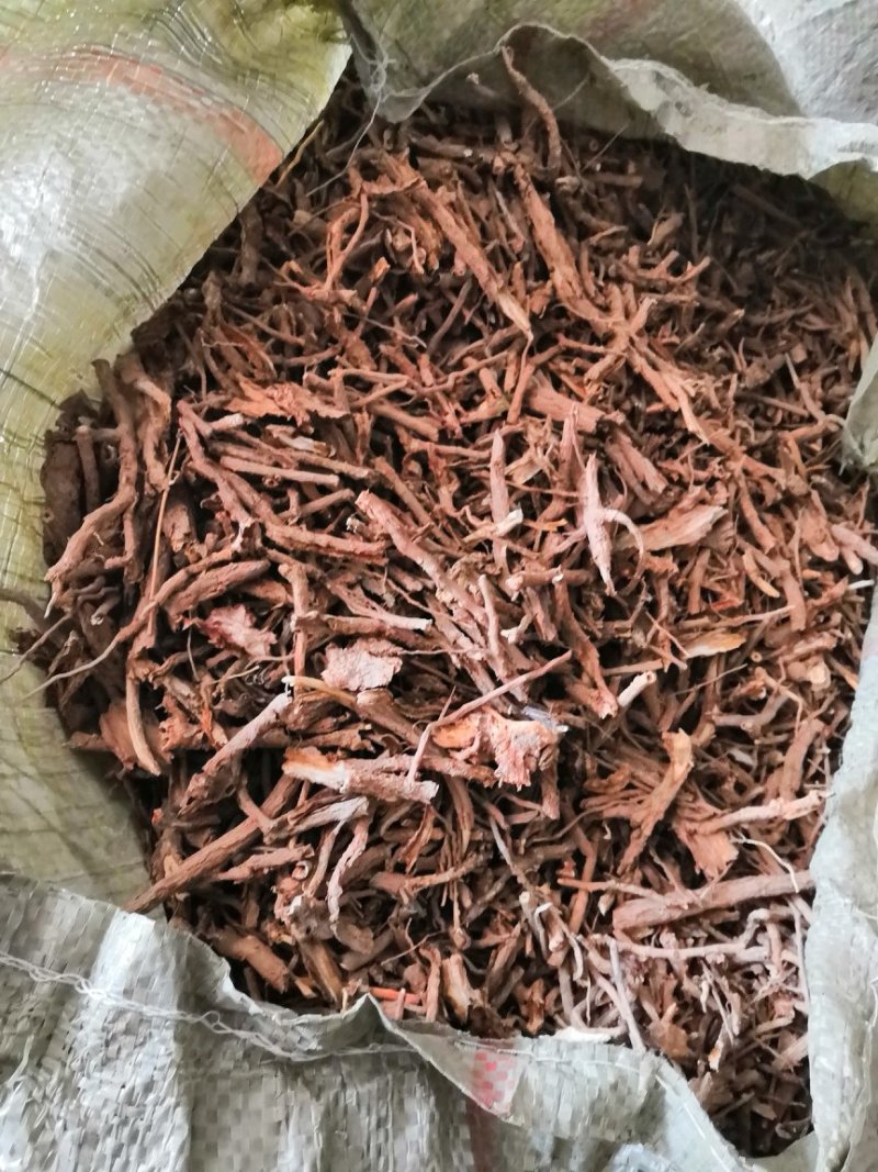 地骨皮各种规格地骨皮产地一手货源欢迎合作