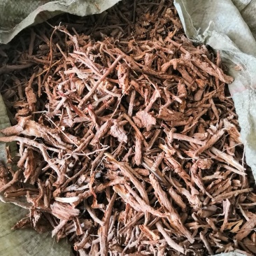 地骨皮各种规格地骨皮产地一手货源欢迎合作