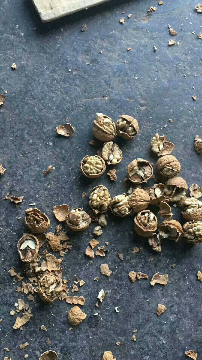 云南纸皮核桃