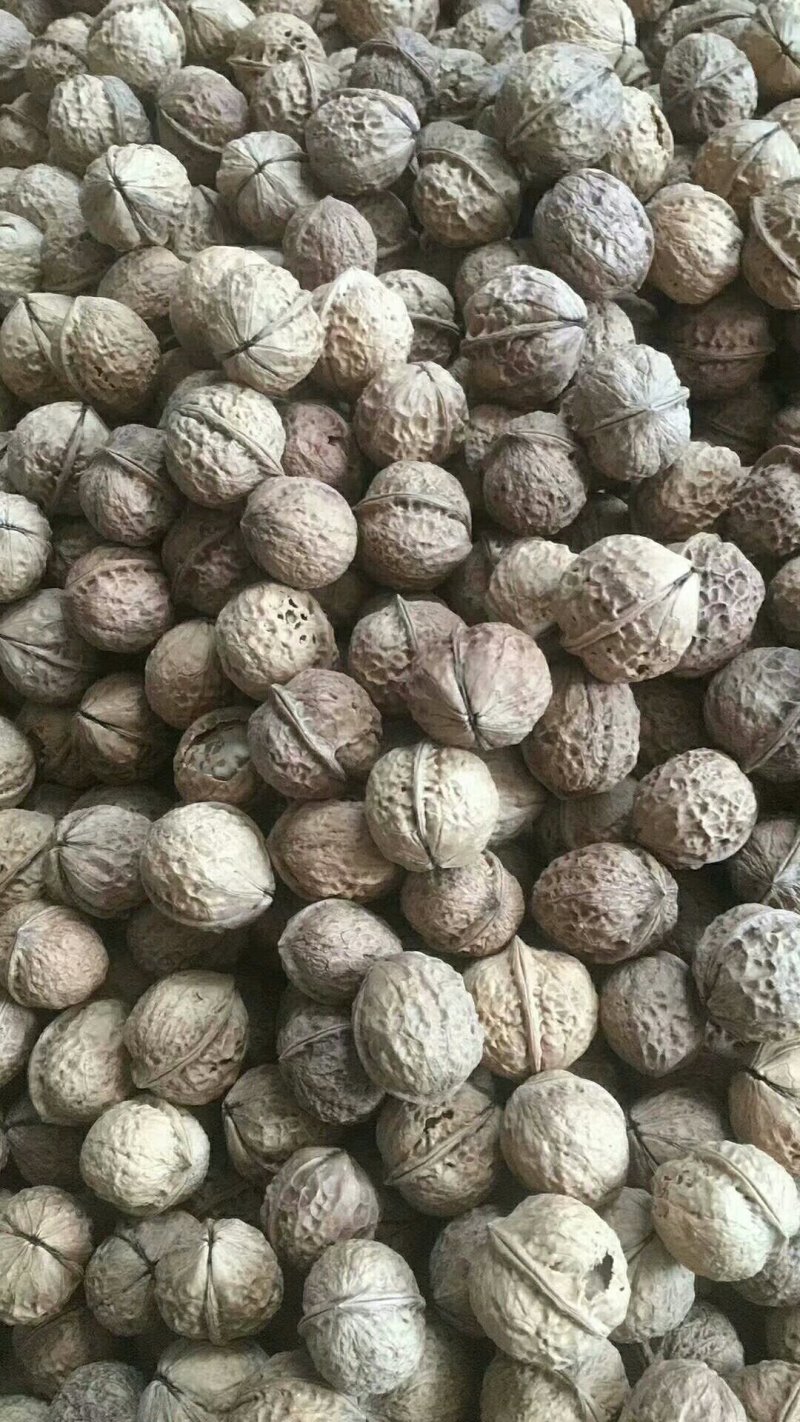 云南纸皮核桃