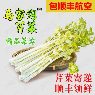 玻璃翠芹菜，产地马家沟。
