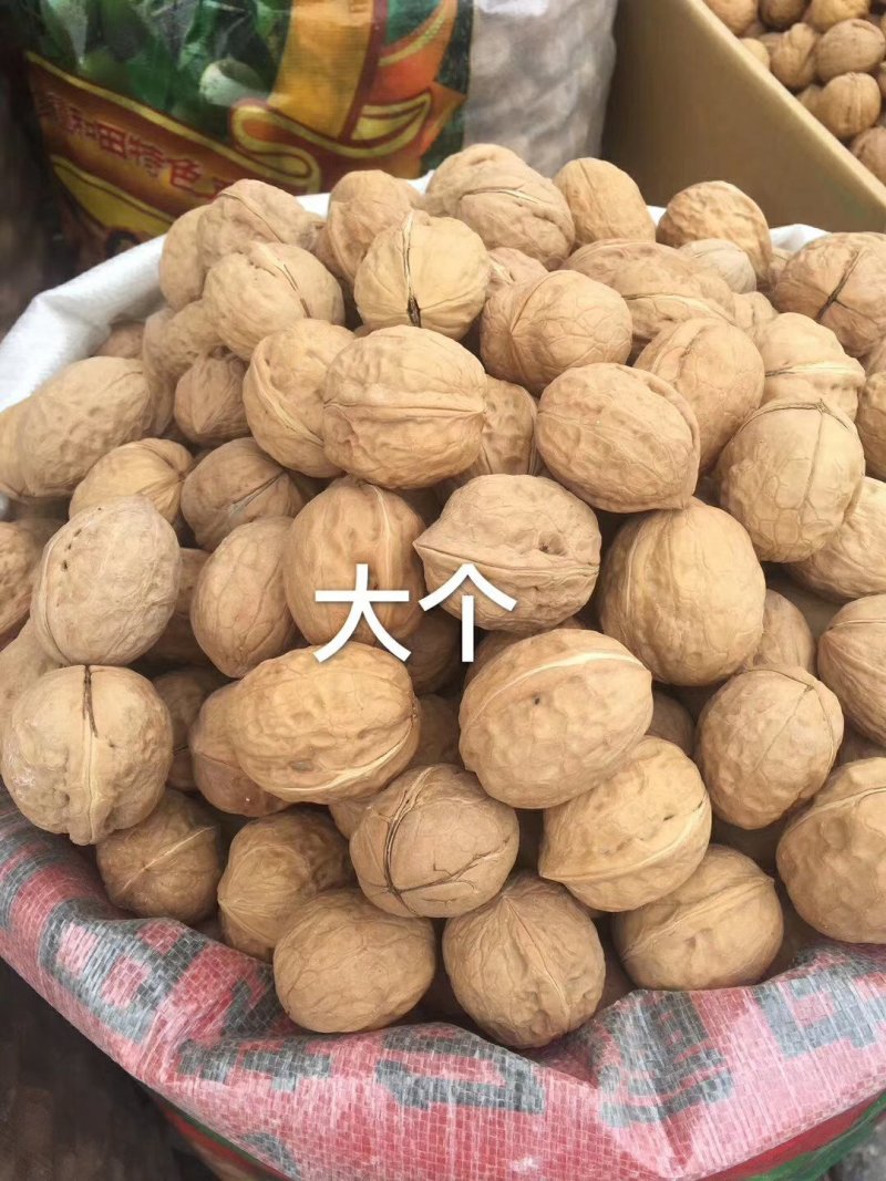 薄皮核桃中货皮薄饱满度好，10袋起发