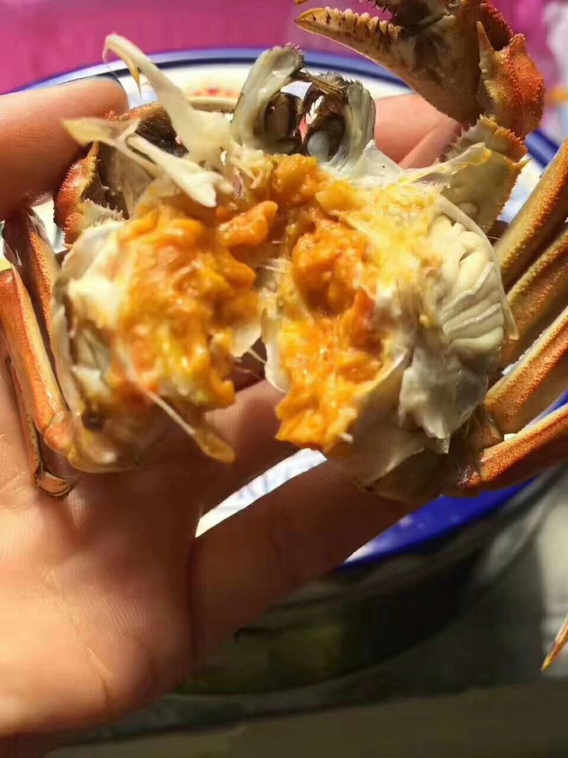 上品大纵湖大闸蟹