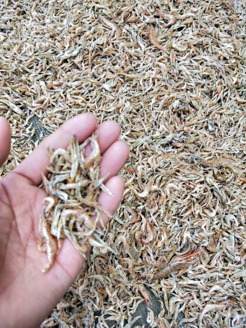 干虾