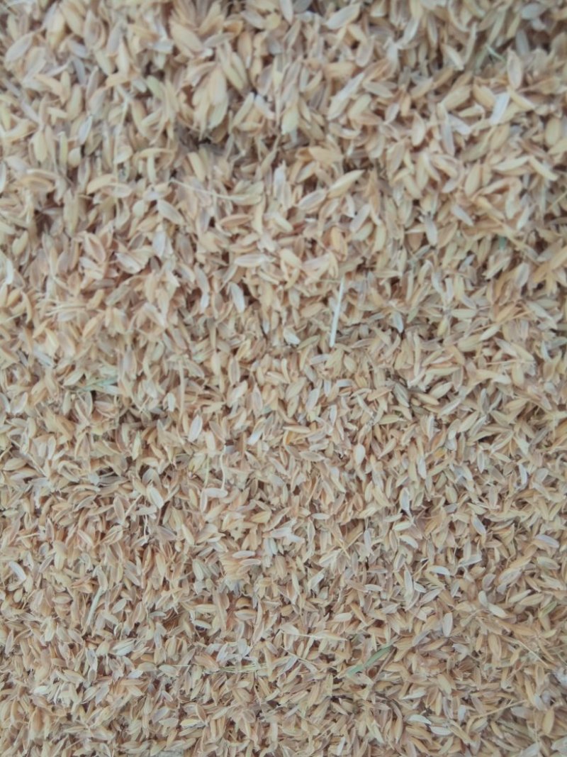 大量供白城地区稻壳粉，稻糖，油糠，及压块稻壳