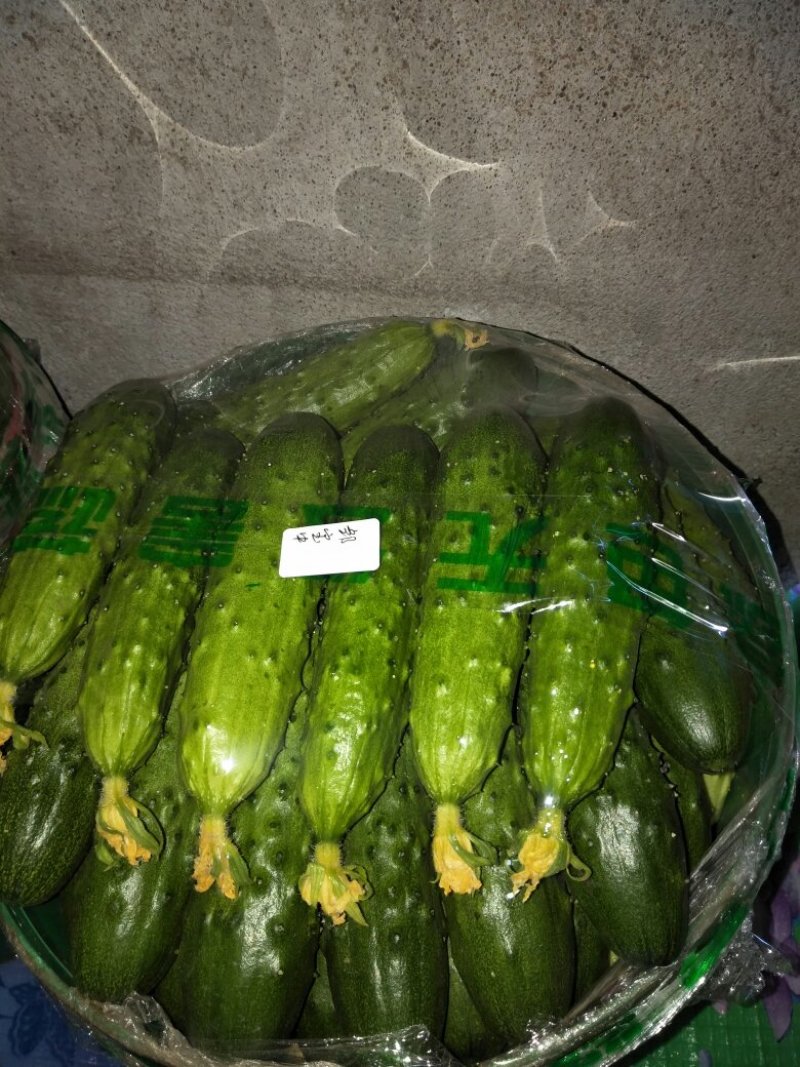 绥中专业代收旱黄瓜，精准报价货真价实，物有所值！欢迎采购