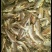 各种海鲜