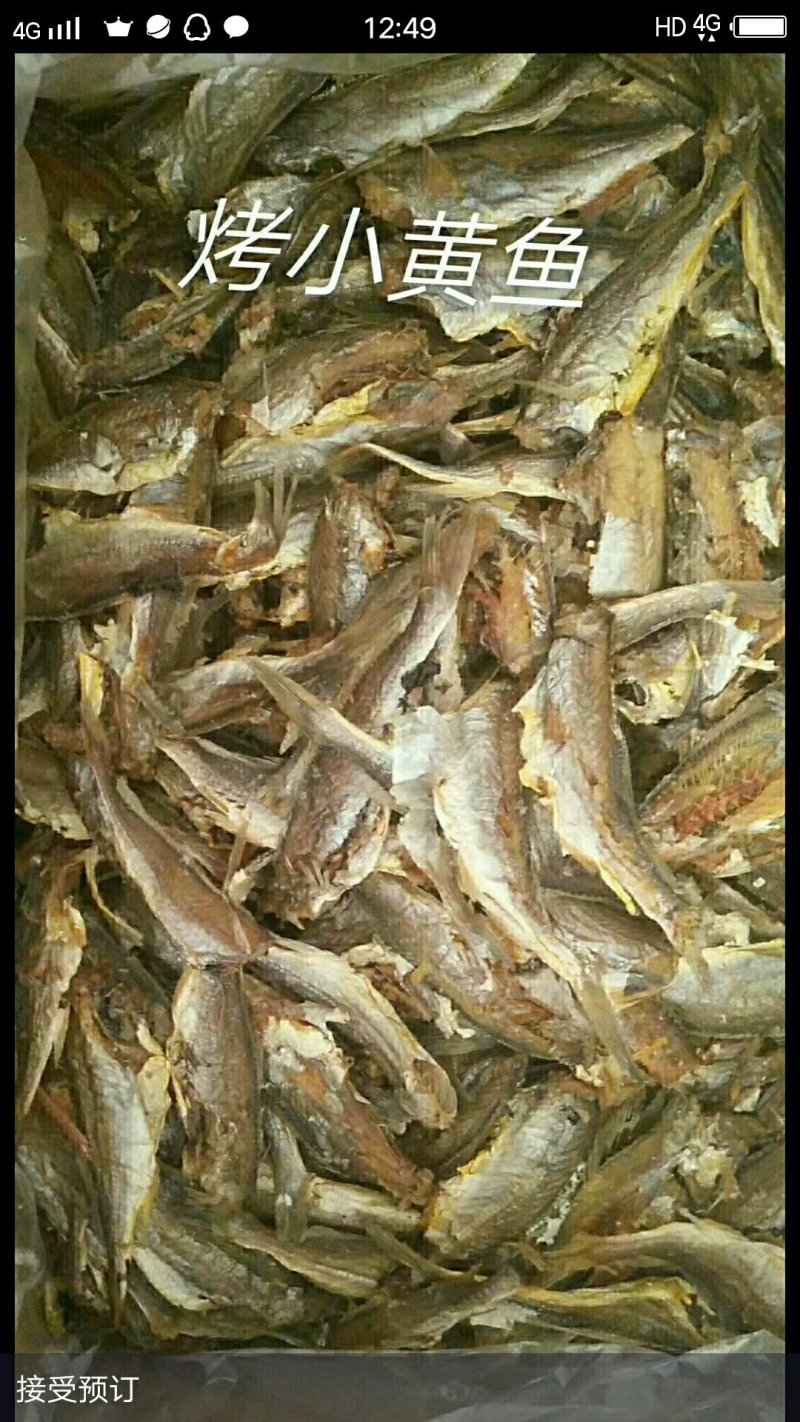 各种海鲜