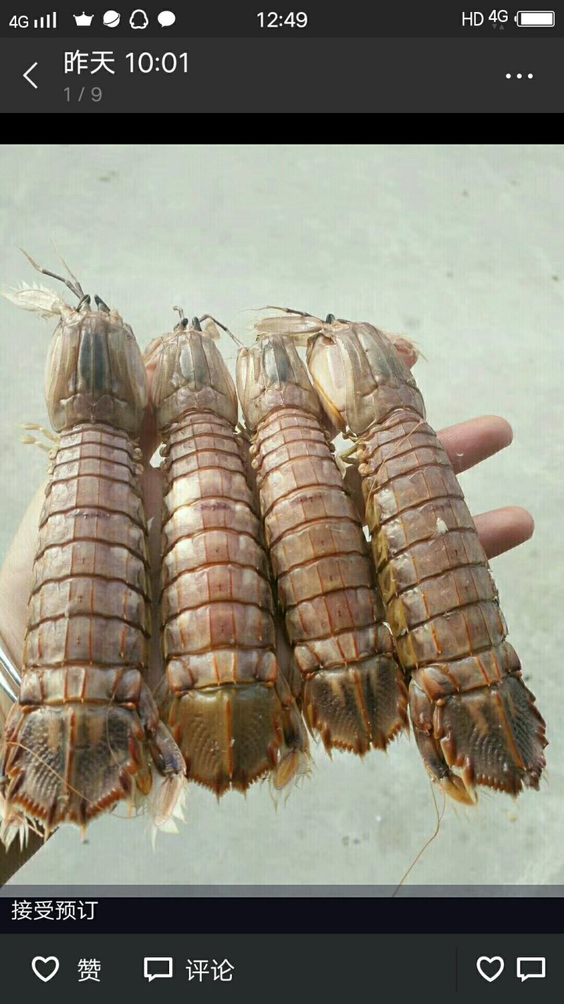 各种海鲜