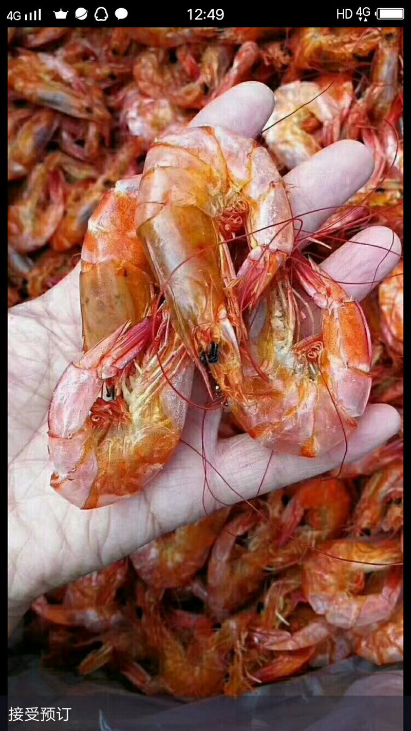 各种海鲜