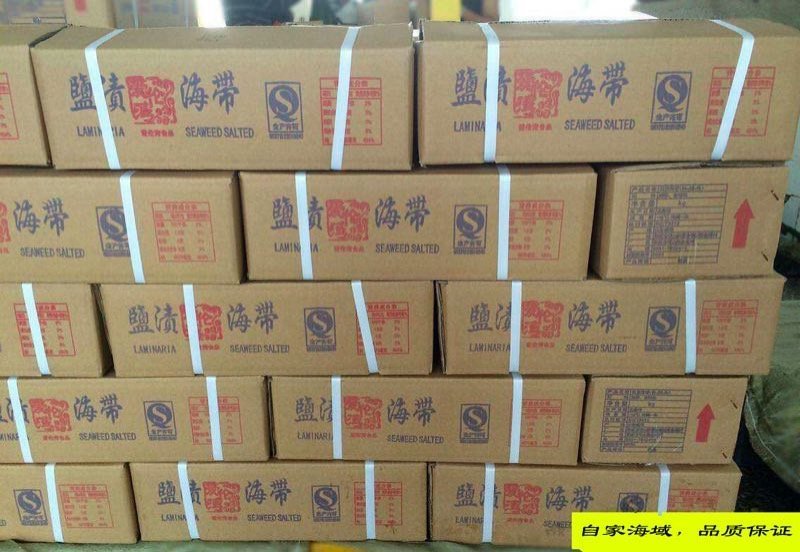 农户直供半干海带结5斤装包邮
