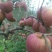 红富士苹果🍎