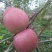红富士苹果🍎