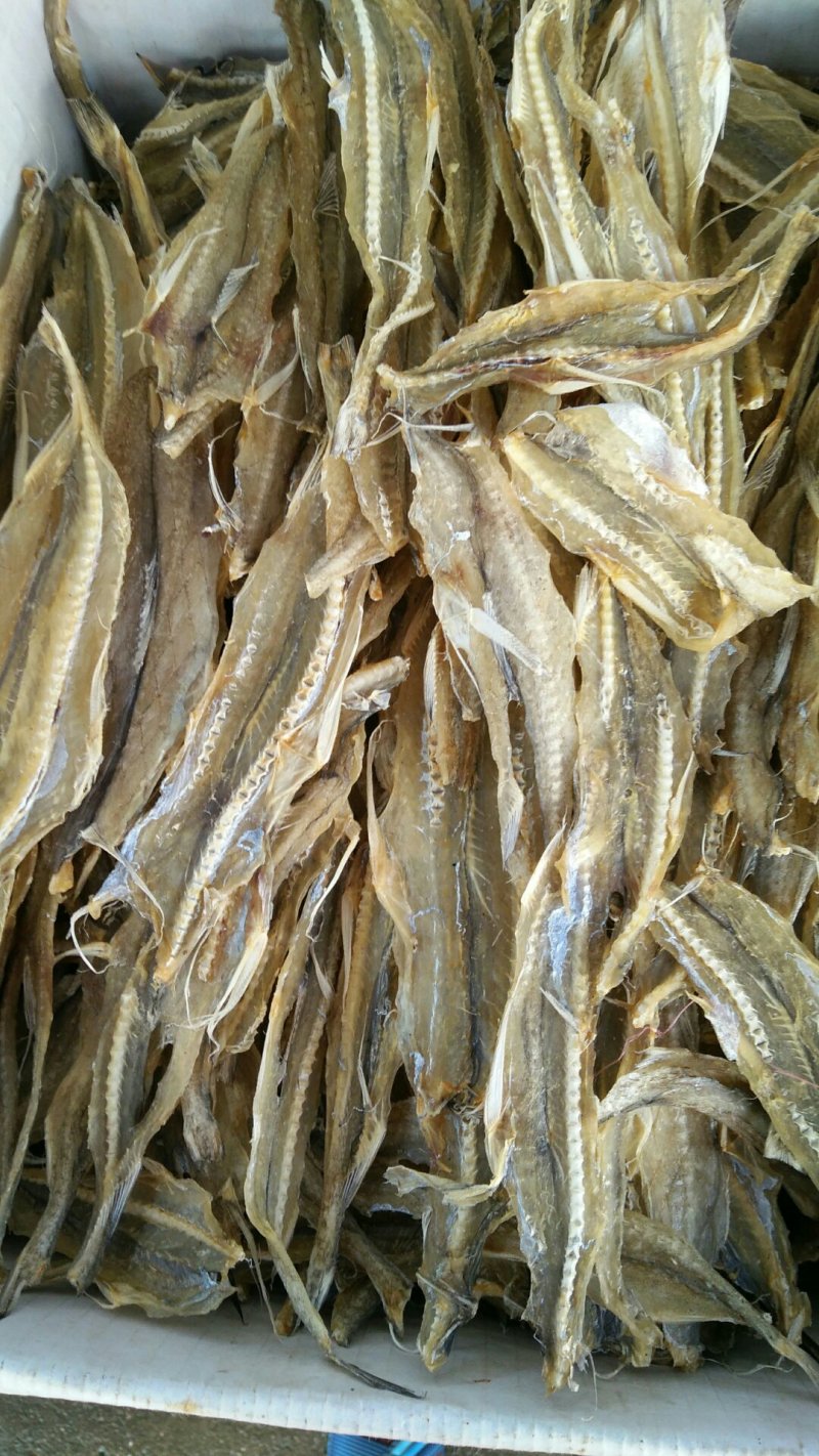龙头鱼干