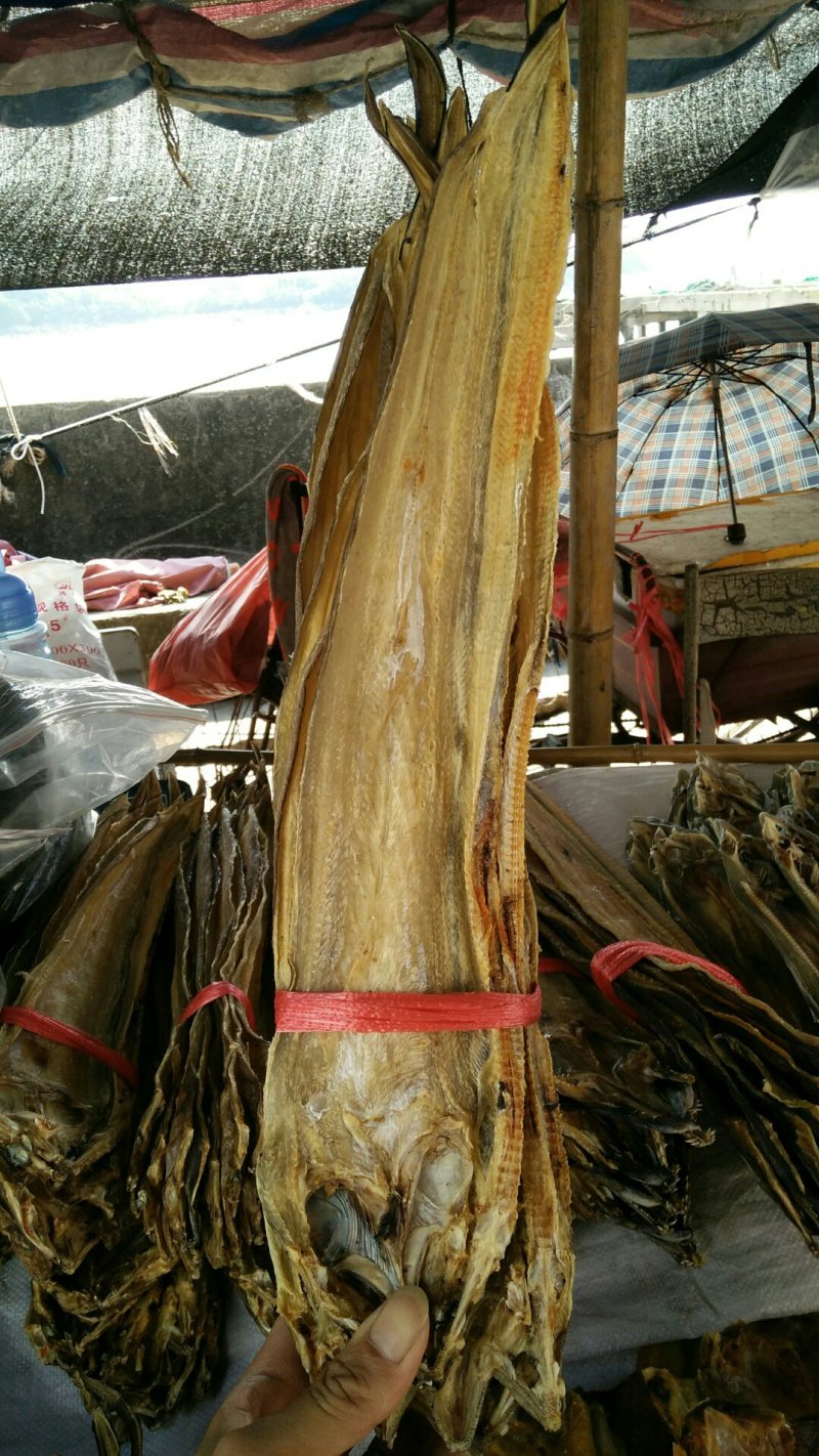 鳗鱼干