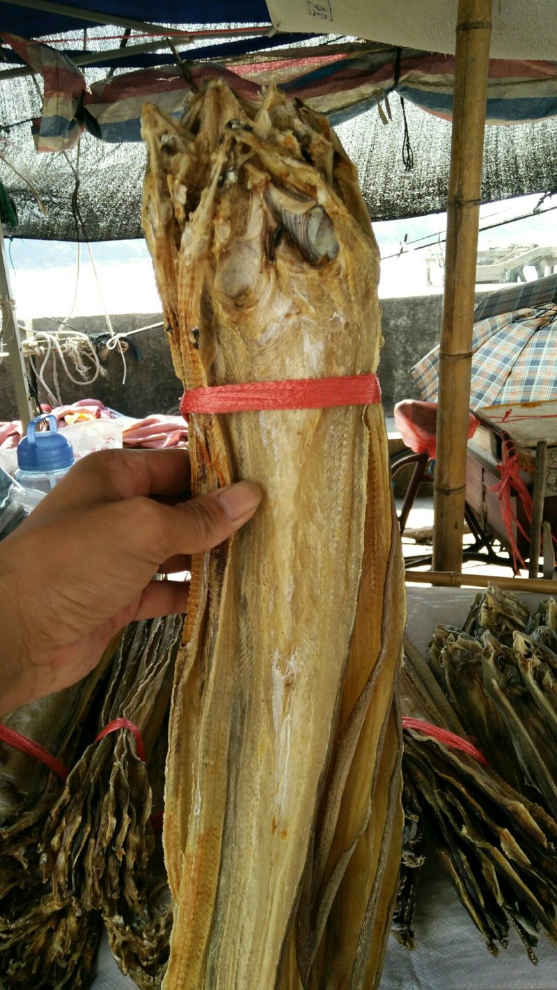 鳗鱼干