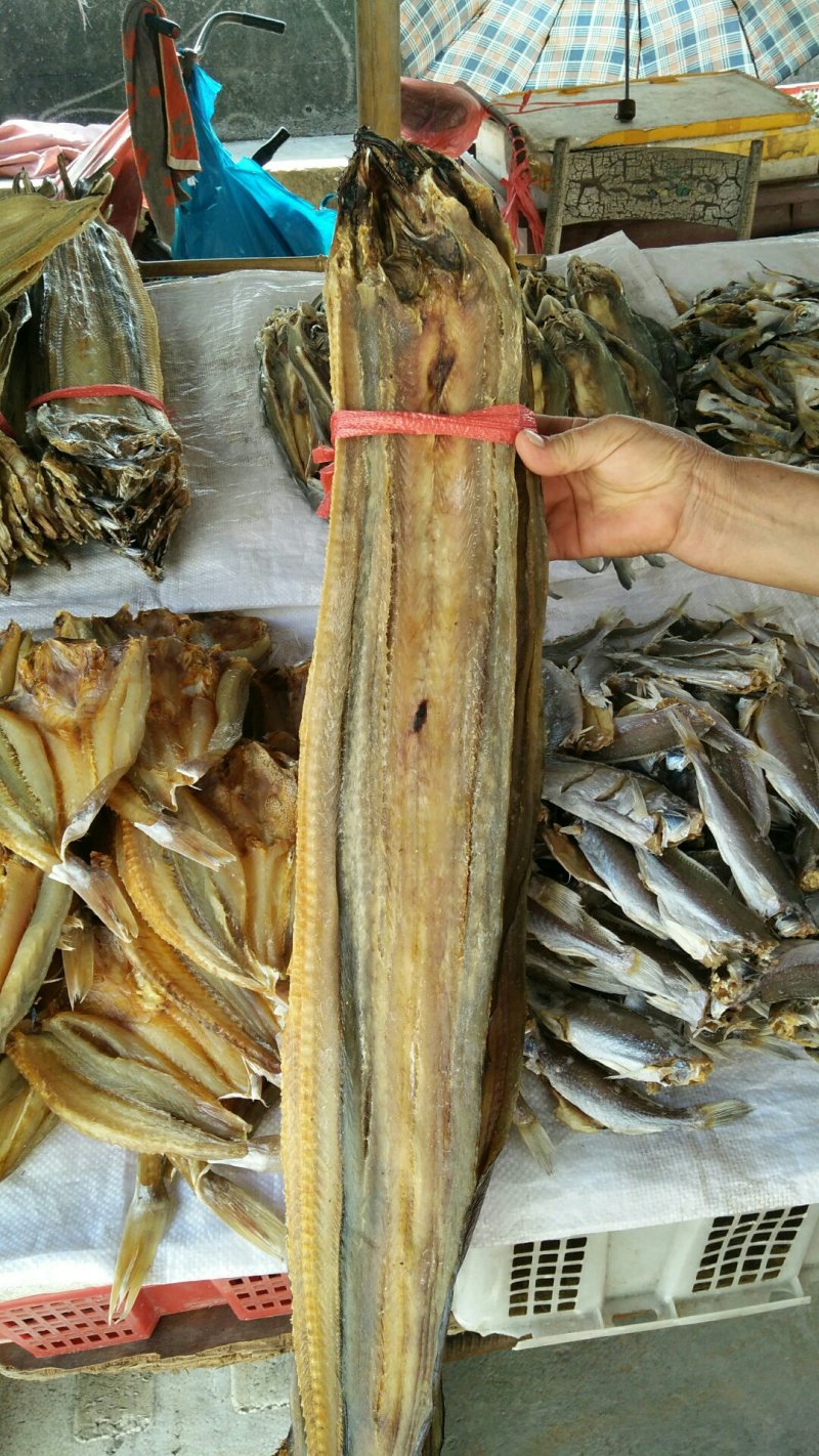 鳗鱼干