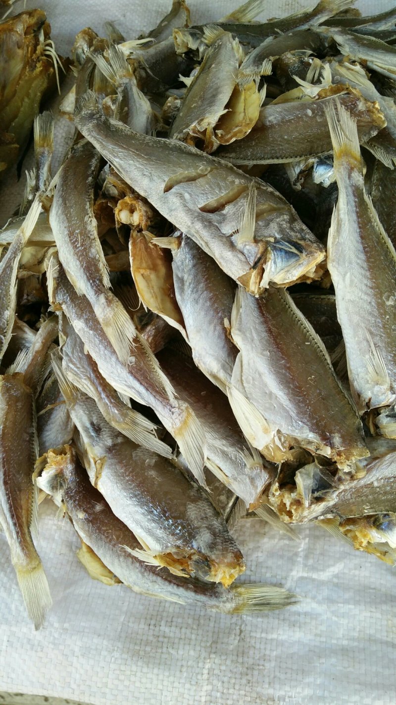白梅鱼干