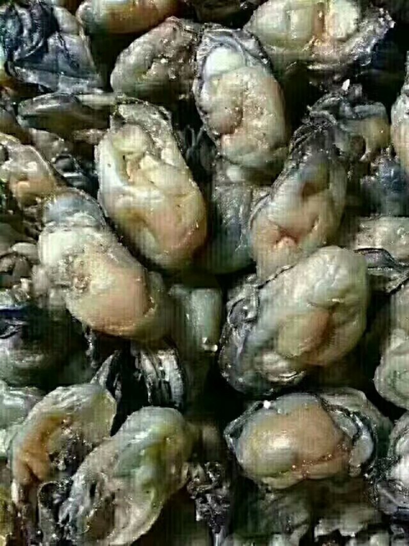 海蛎干