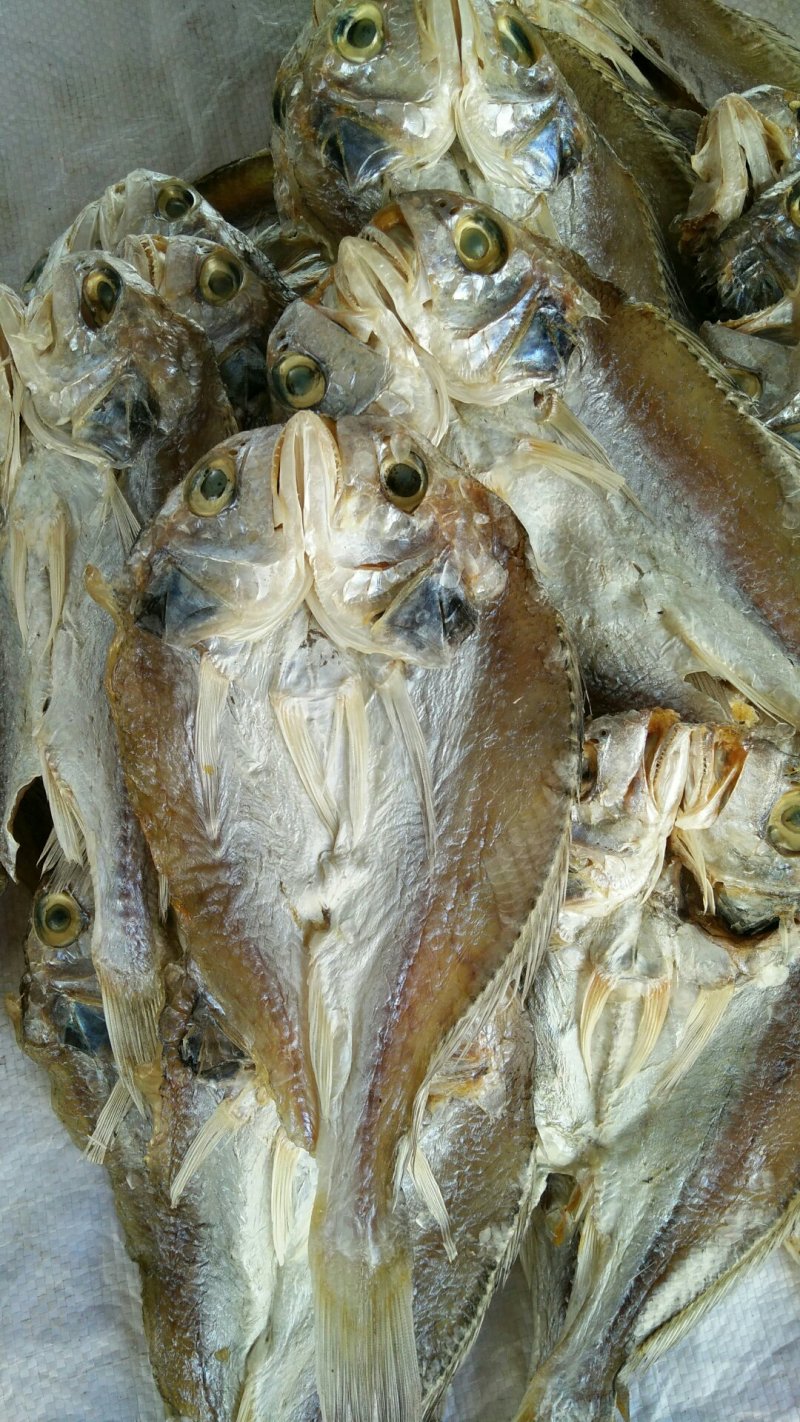 小梅鱼干