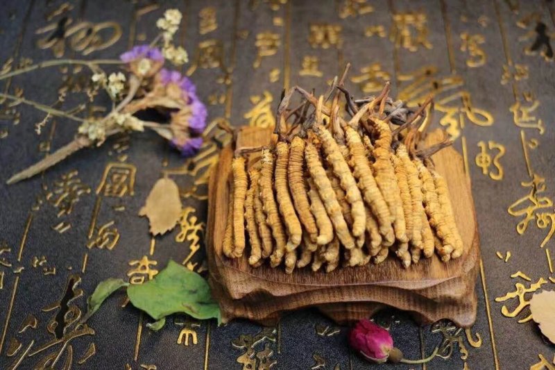 那曲，冬虫夏草，