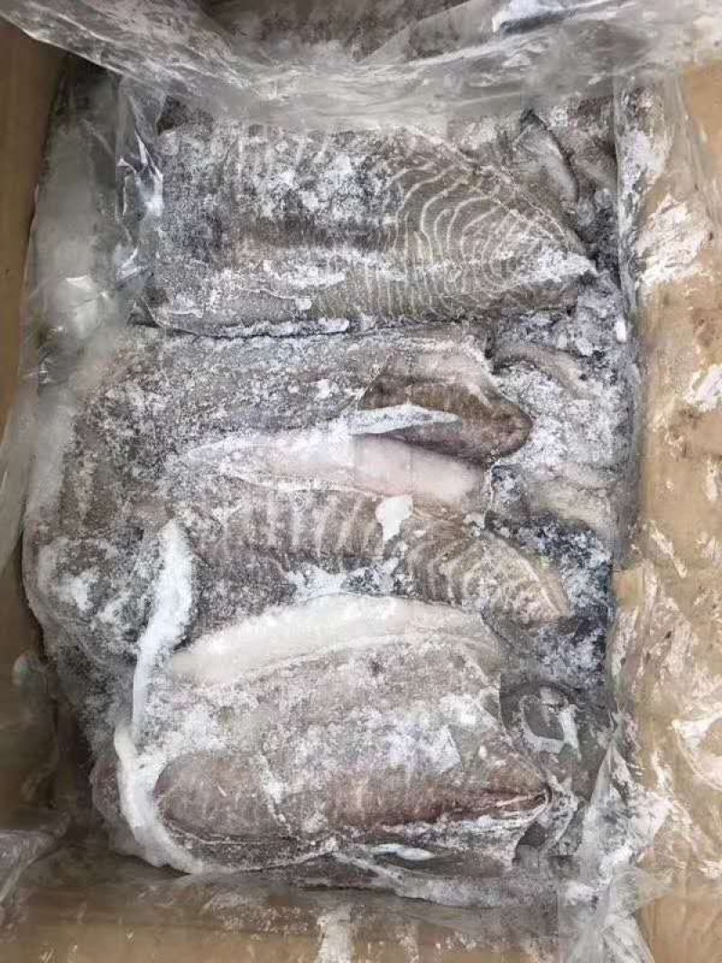 墨鱼！又叫乌贼