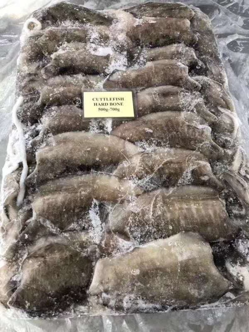 墨鱼！又叫乌贼