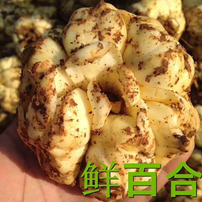 百合干干货500克特级