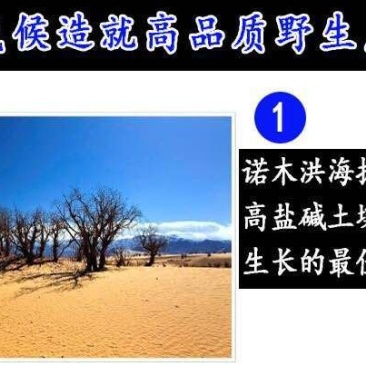 黑枸杞，