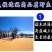 黑枸杞，