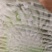 百分百纯绿豆粉皮，假一赔千