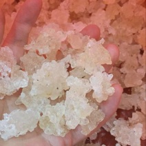 雪燕