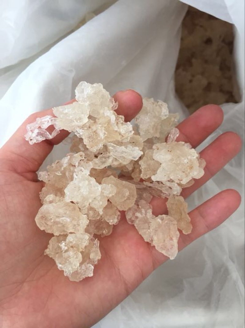 雪燕
