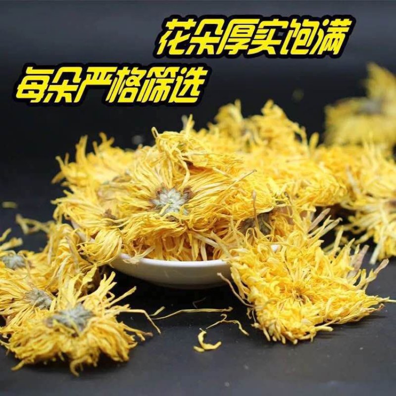 金丝皇菊