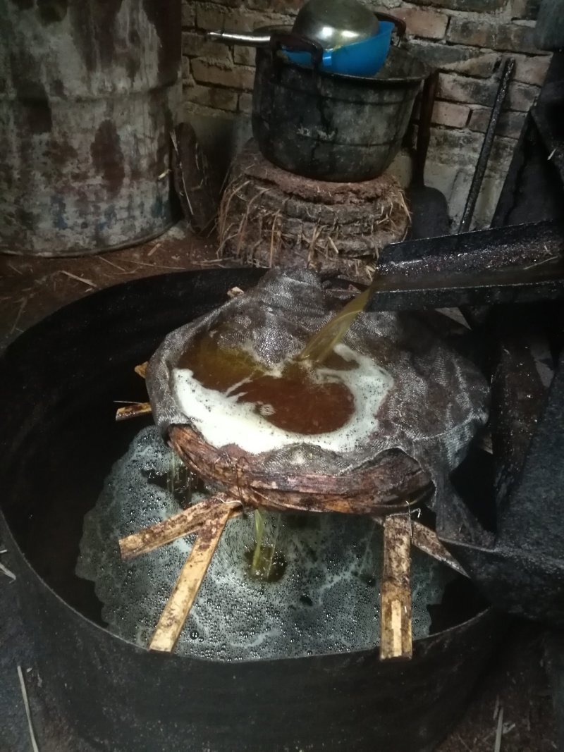 高山野生茶油
