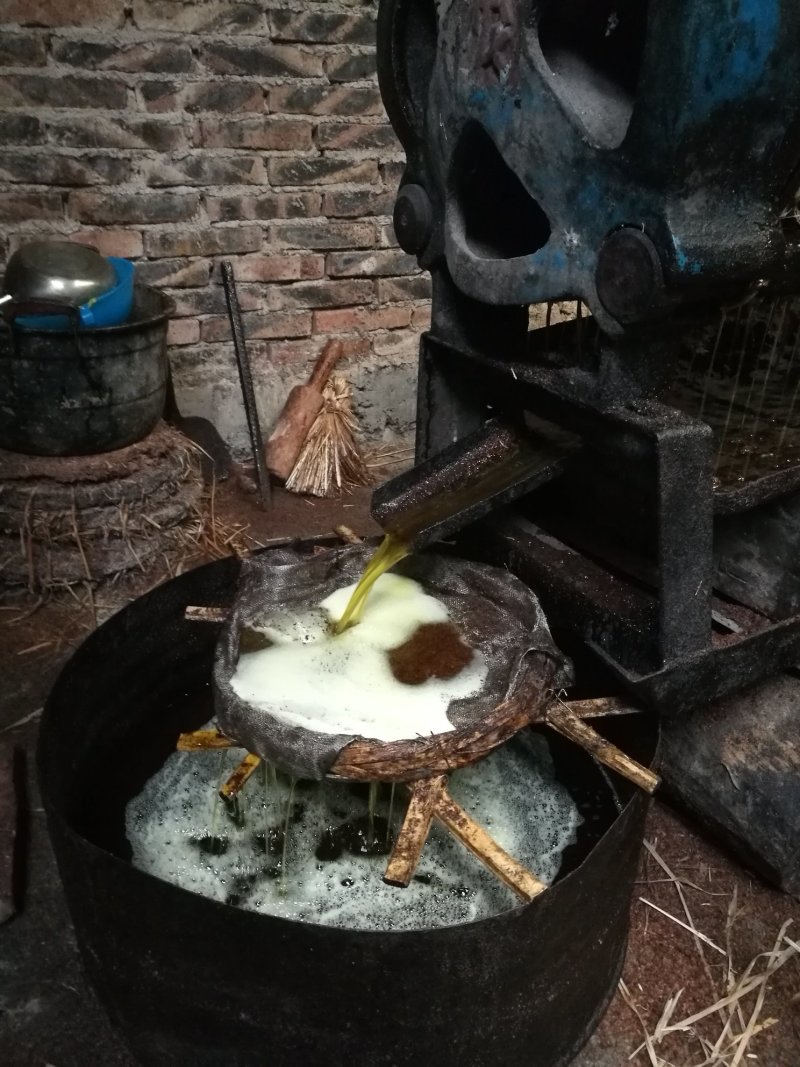 高山野生茶油