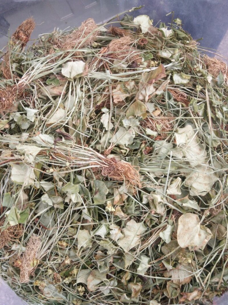 白耳菜，白折耳