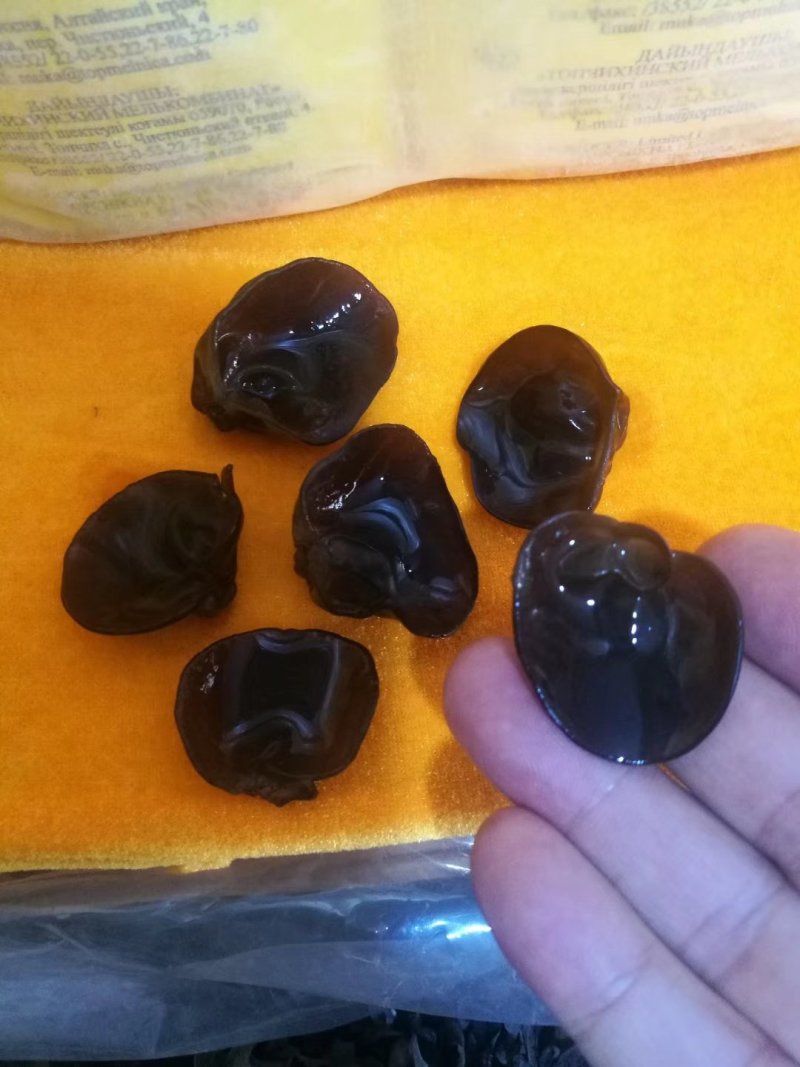 黑木耳