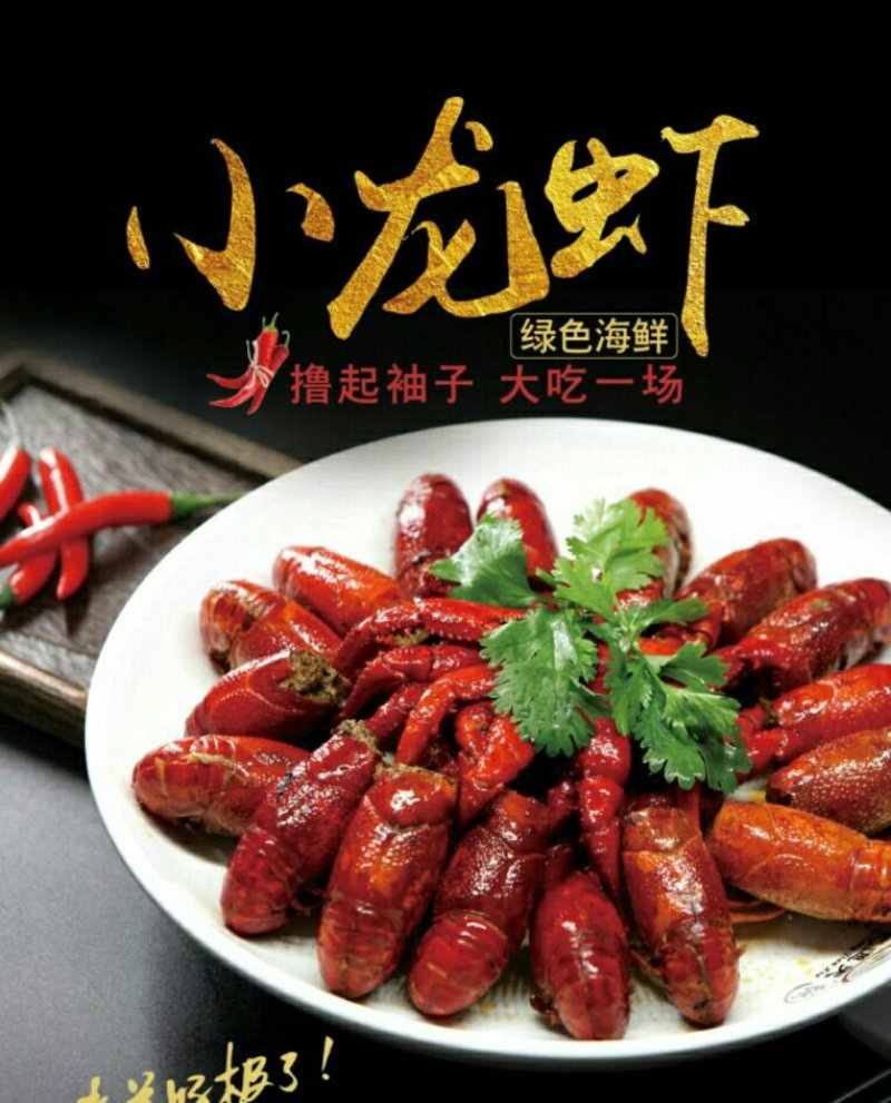 小龙虾藕塘套养7-9钱（35-45克）活虾