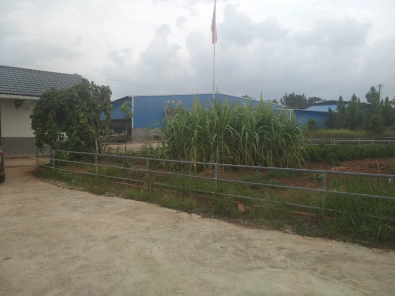 本养殖基地现有土地200亩