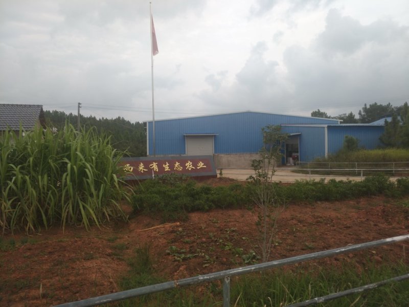 本养殖基地现有土地200亩