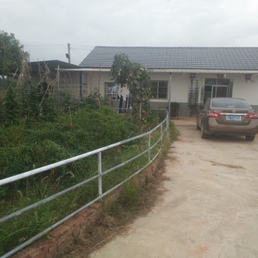 本养殖基地现有土地200亩