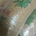 豆饼肥油枯熟榨豆饼量大常年有货