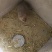商品鼠出售