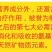 脱水紫薯粒紫薯干