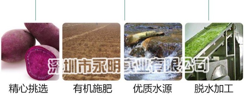 脱水紫薯粒紫薯干