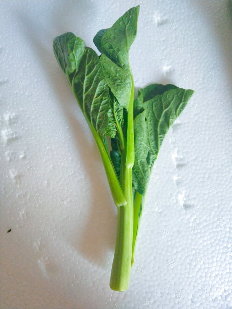 菜苔