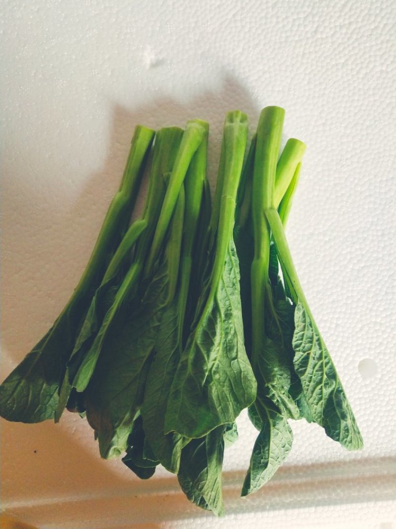 菜苔