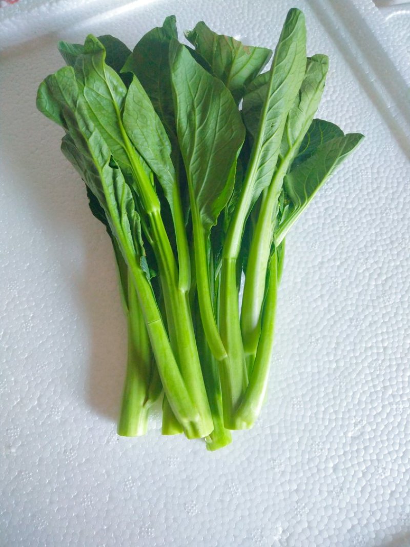 菜苔